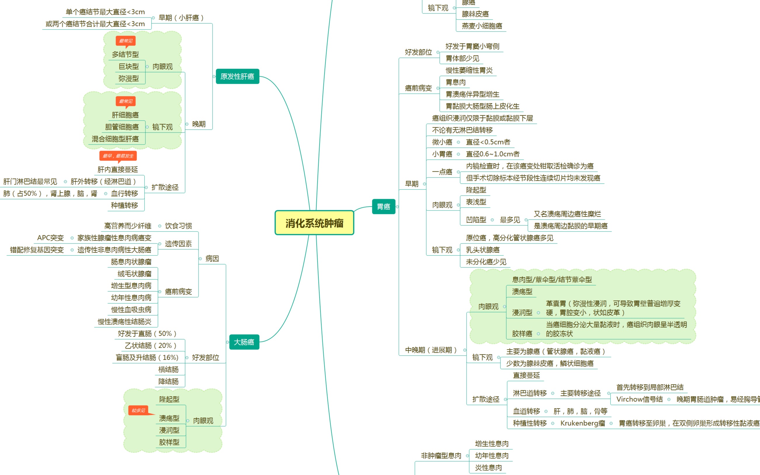 study with me|医学英语词汇常见后缀思维导图制作过程实录|Xmind使用心得分享哔哩哔哩bilibili