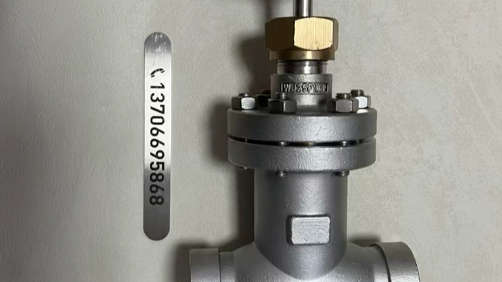 氢气波纹管截止阀wj25f1.6p