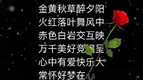 我们的记录短片 哔哩哔哩 つロ干杯 Bilibili