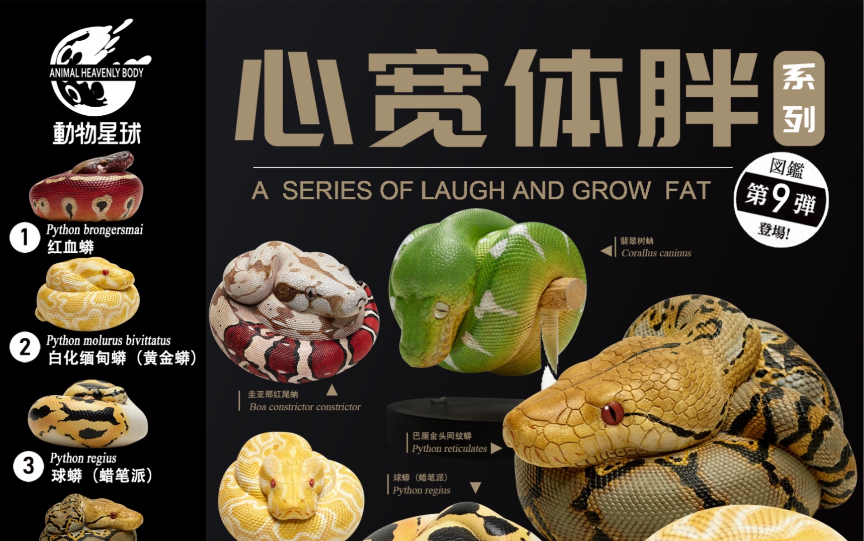 动物星球 心宽体胖 第9弹蟒