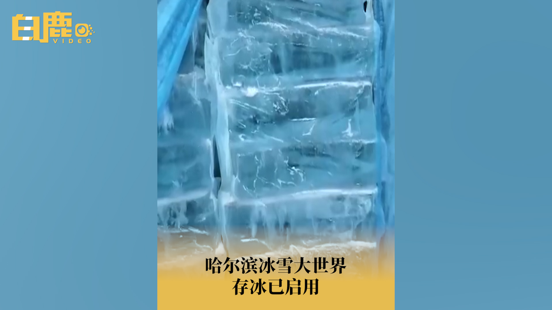 哈尔滨冰雪大世界存冰已启用哔哩哔哩bilibili