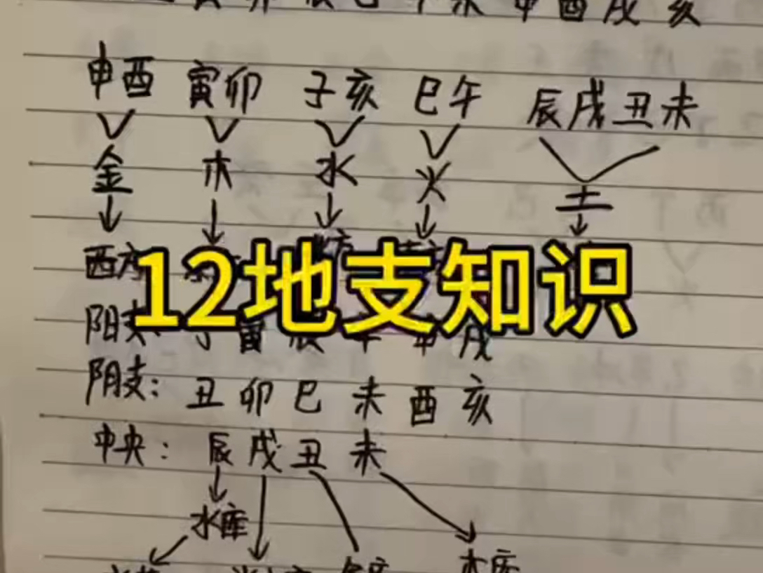 四柱八字基础知识介绍,12地支分别都是什么,阳支和阴支有什么哔哩哔哩bilibili