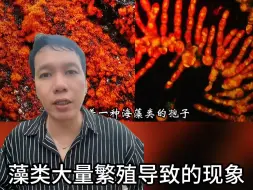 Descargar video: 罕见的三种雨，你见过吗？