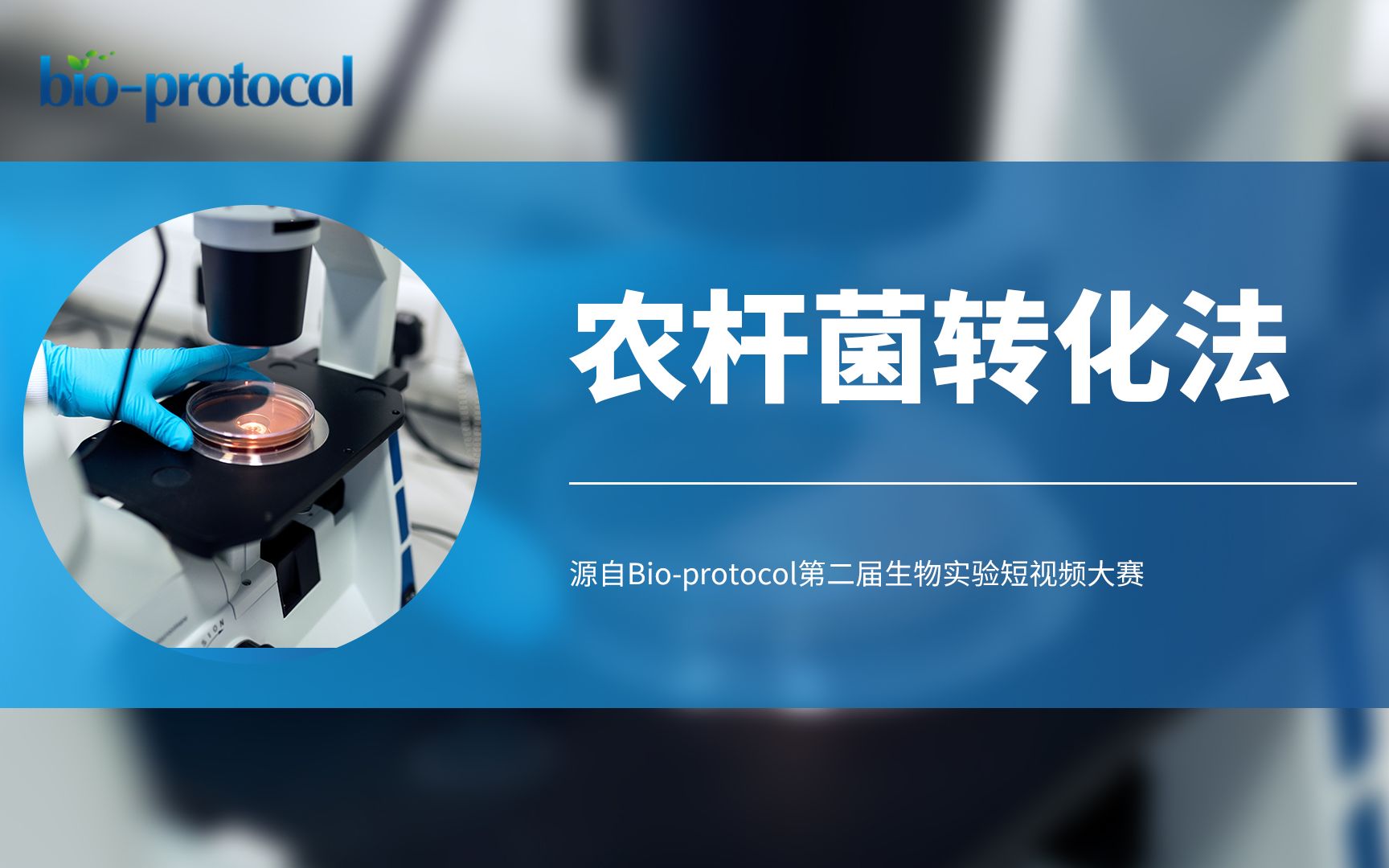 【Bioprotocol】农杆菌转化法哔哩哔哩bilibili