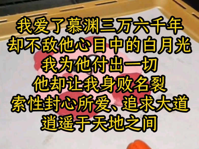 【高分文】(绝美新月)我爱了慕渊三万六千年,却不敌他心目中的白月光,我为他付出一切,他却让我身败名裂,索性封心所爱、追求大道,逍遥于天地之...