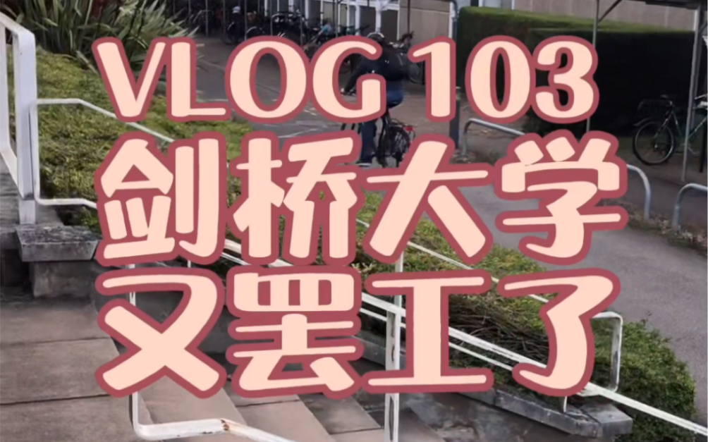 剑桥Vlog|在英国高校当老师工资只能住帐篷,剑桥大学老师带头罢工哔哩哔哩bilibili