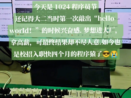 1024 程序员节. 今年是敲代码的第三个年头啦!哔哩哔哩bilibili