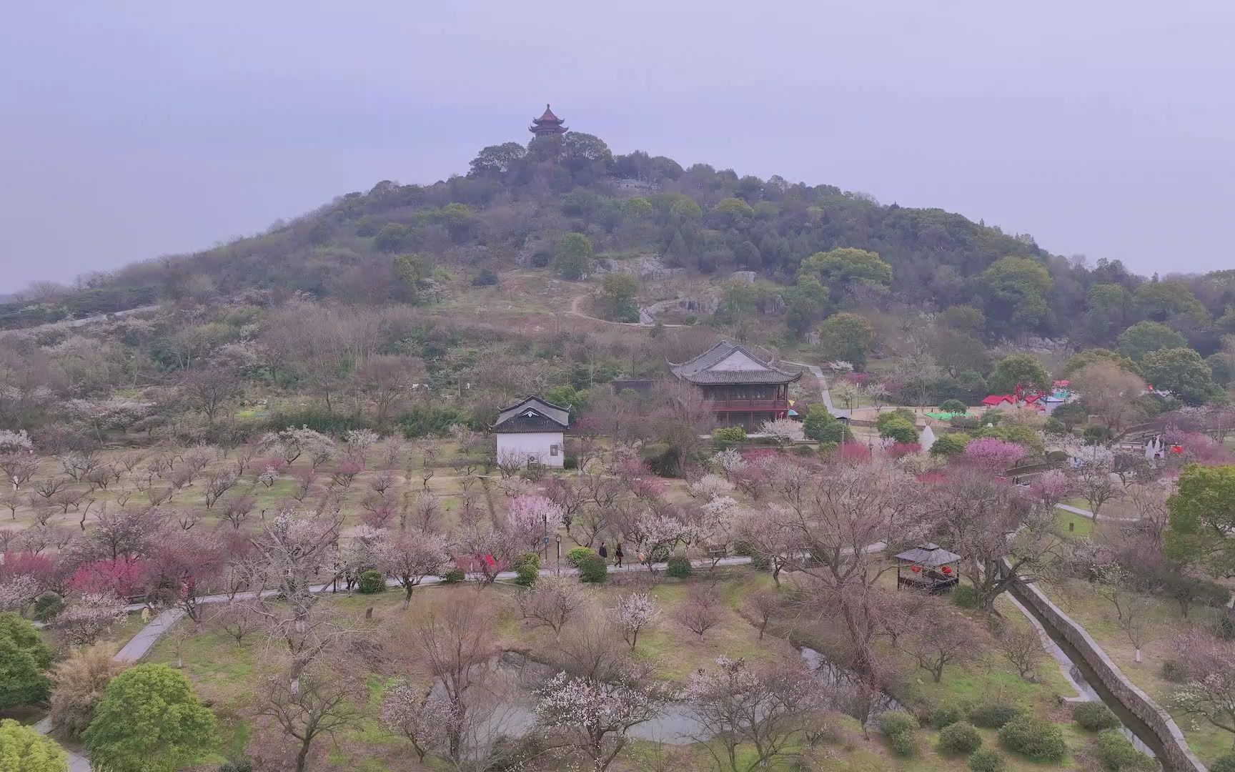 苏州西山林屋梅海