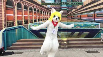 Download Video: Fursuit Dance lllトゥルティンアンテナlll 踊ってみた 狼小雨毛毛舞蹈