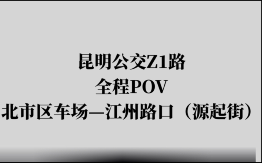 [图]【春天之城 梦想之都】昆明公交Z1路POV（北市区车场——江州路口（源起街）