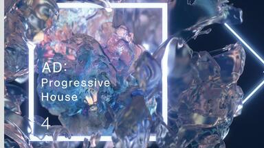 その他 DIVERSE SYSTEM AD:TRANCE AD:TRANCE REMIXES | Diverse System