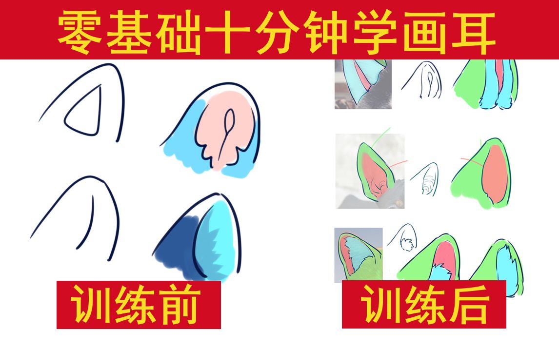 【绘画教程】几种常见的兽设耳朵画法哔哩哔哩bilibili