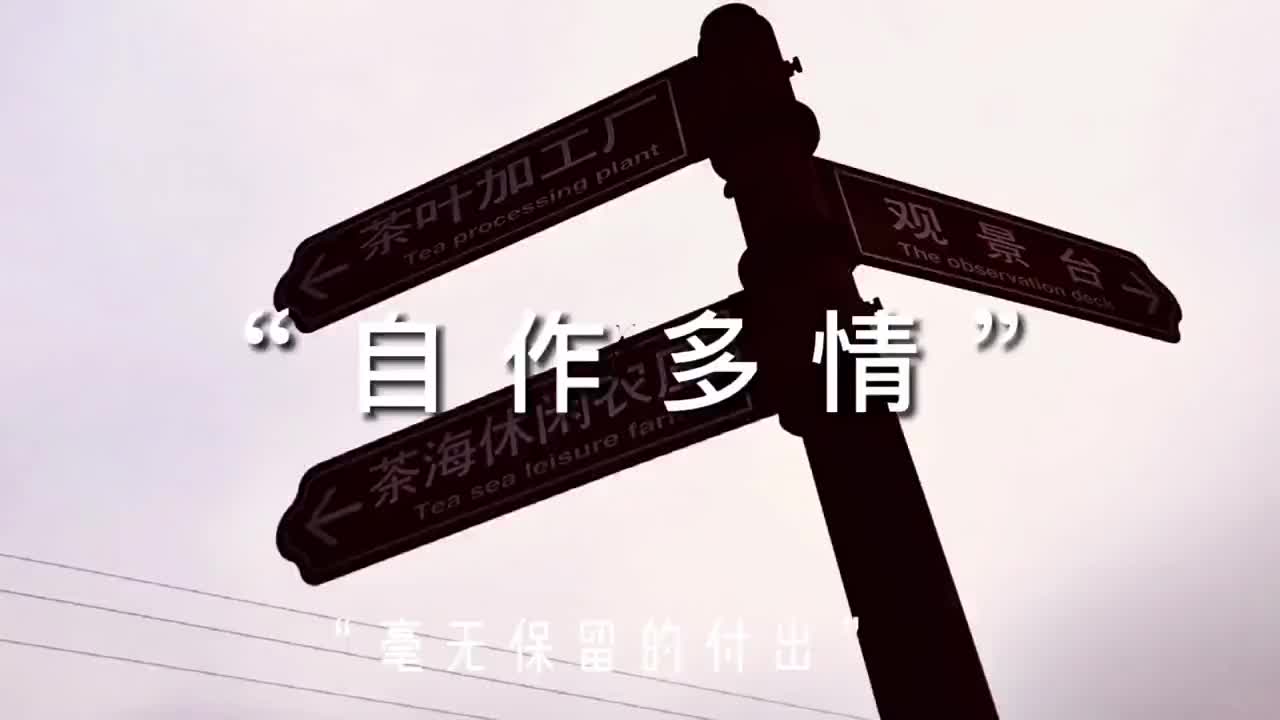 [图]为何多情的人，总被无情的伤。_ 手机摄影 喊你吃 治愈系