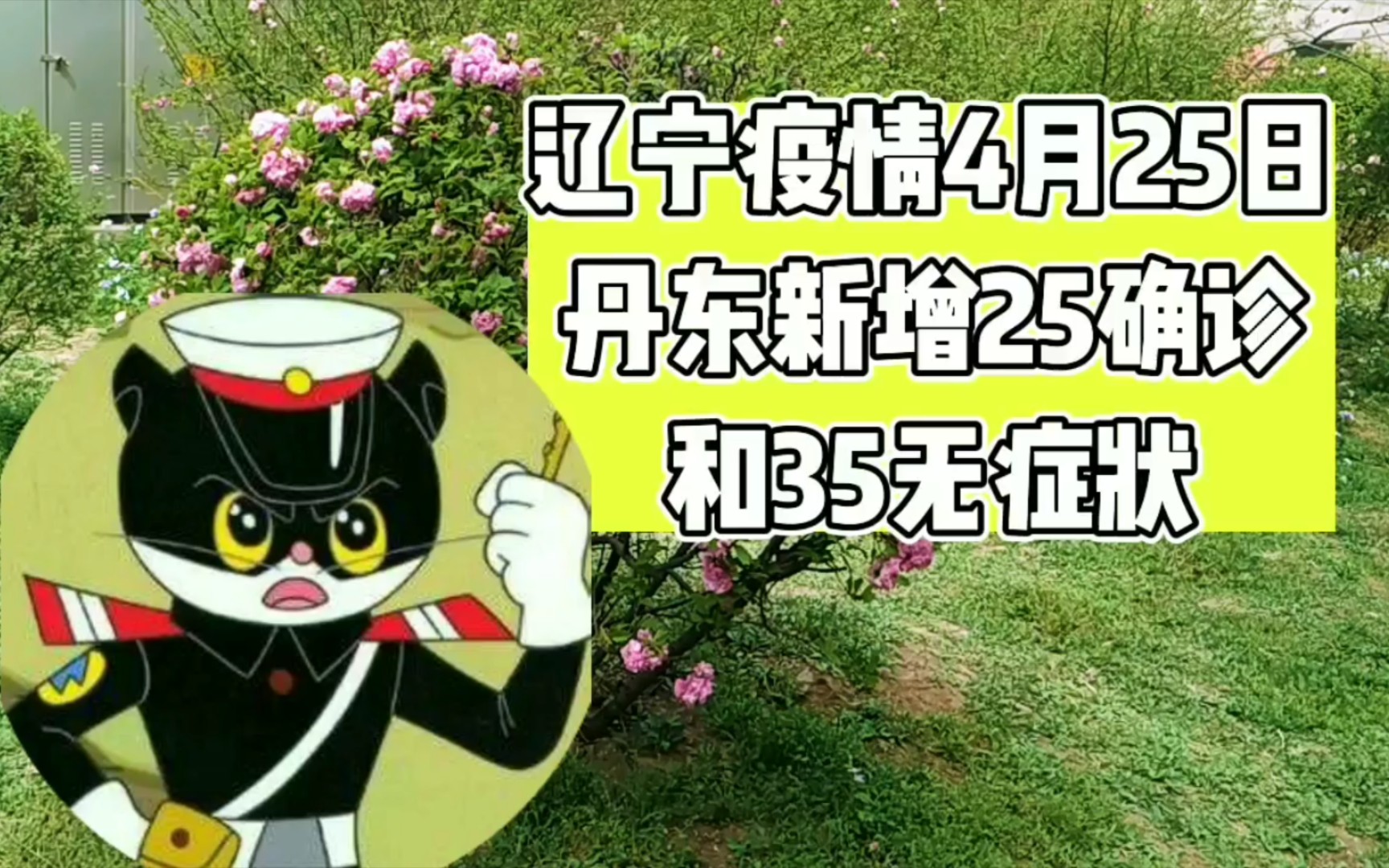 辽宁疫情4月25日,丹东新增25确诊,35无症状,丹东加油