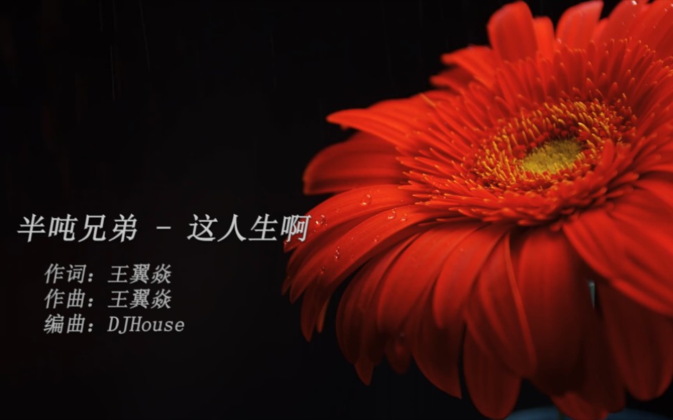 [图]半吨兄弟《这人生啊》DJHouse版：孤单的时候就点燃一根烟，人潮拥挤赶不走孤独！