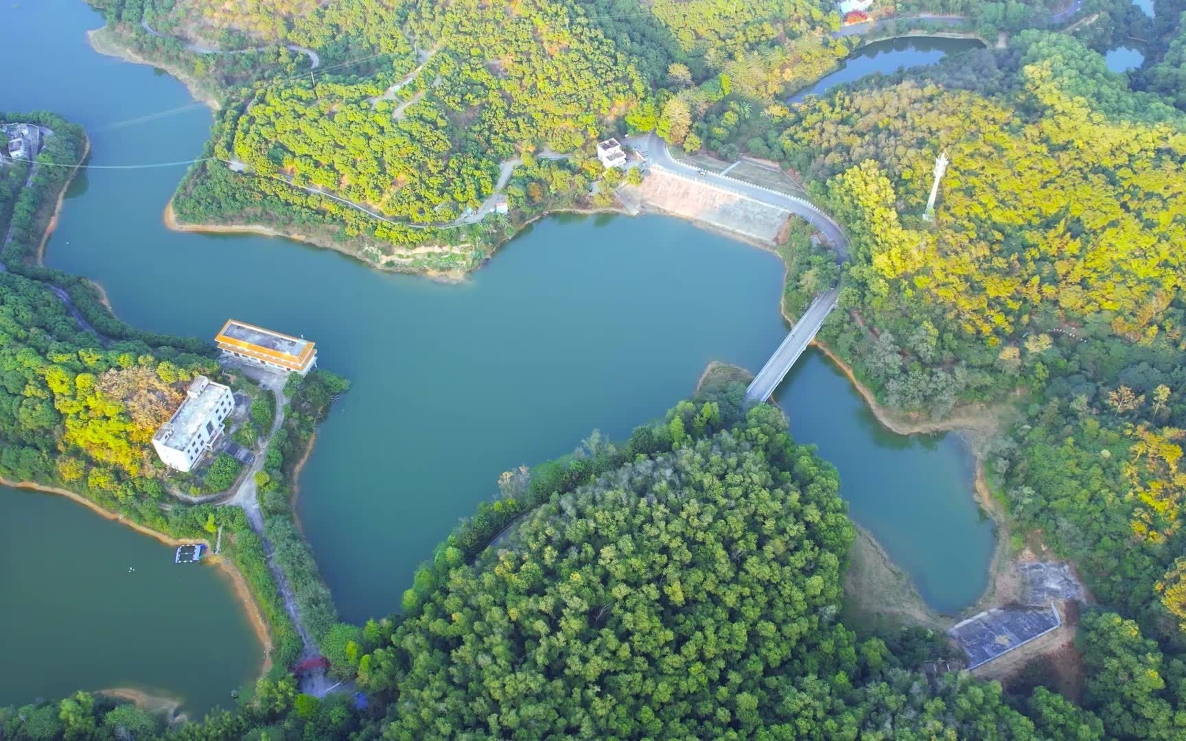 大岭山湿地公园图片图片