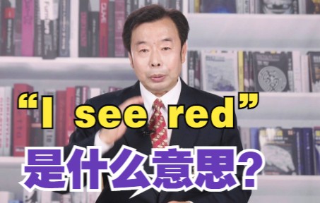 “I see red”啥意思?和红色有关系吗?哔哩哔哩bilibili