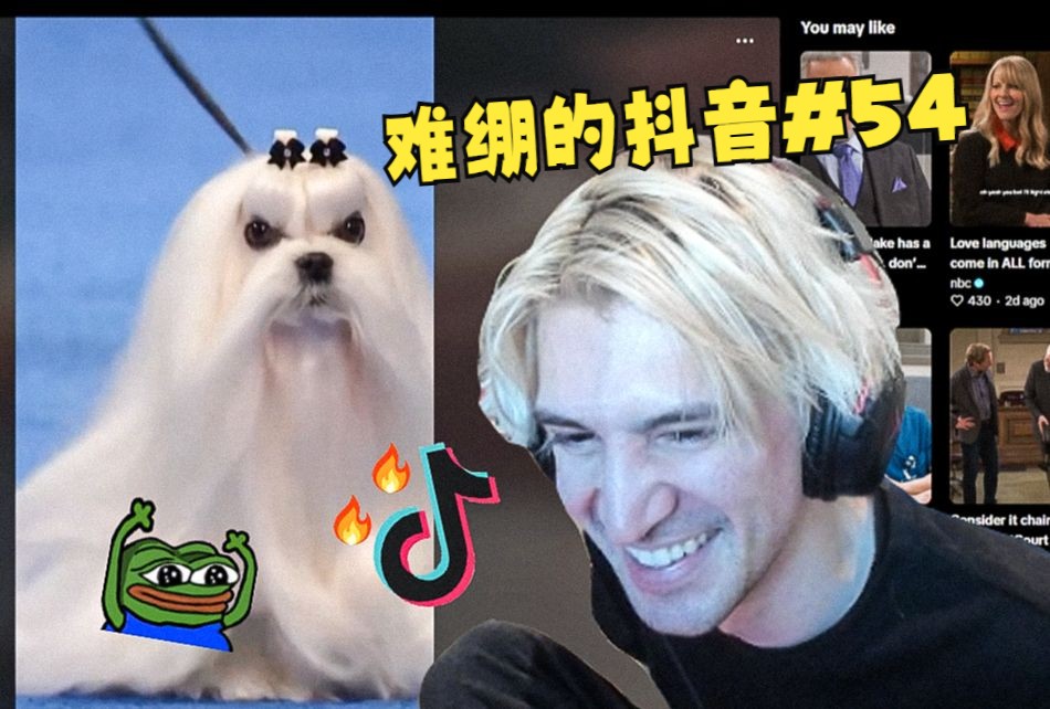 【中字】xQc看让人难绷的抖音合集#54:让我们说中文-茉团-茉团-哔哩哔哩视频