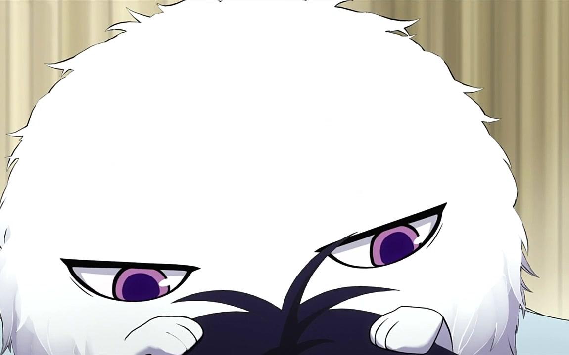 【不愉快的怪物庵】满屏幕的毛茸茸_哔哩哔哩_bilibili