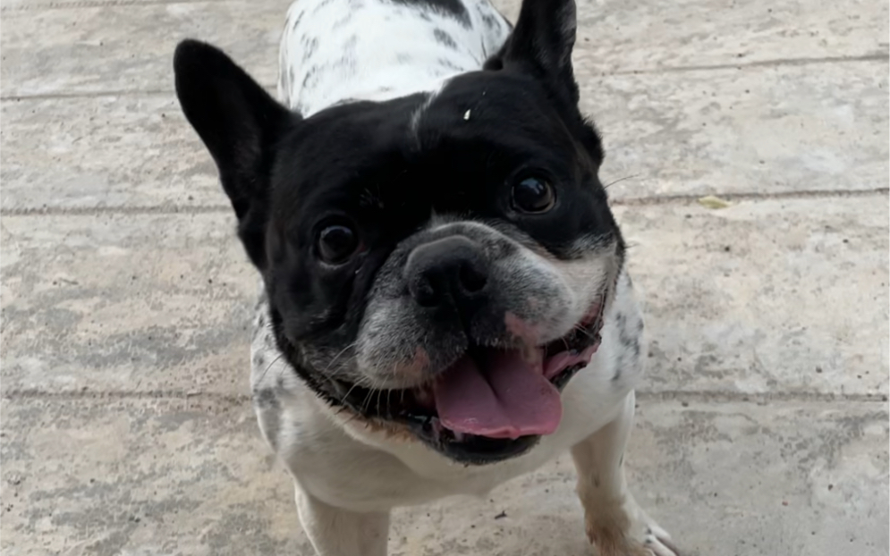 道哥步入中年以后明显没小时候能跑了