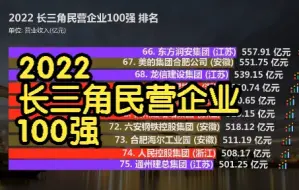 Download Video: 2022 长三角民营企业100强 排名, 浙江46家 江苏38家 上海9家 安徽7家