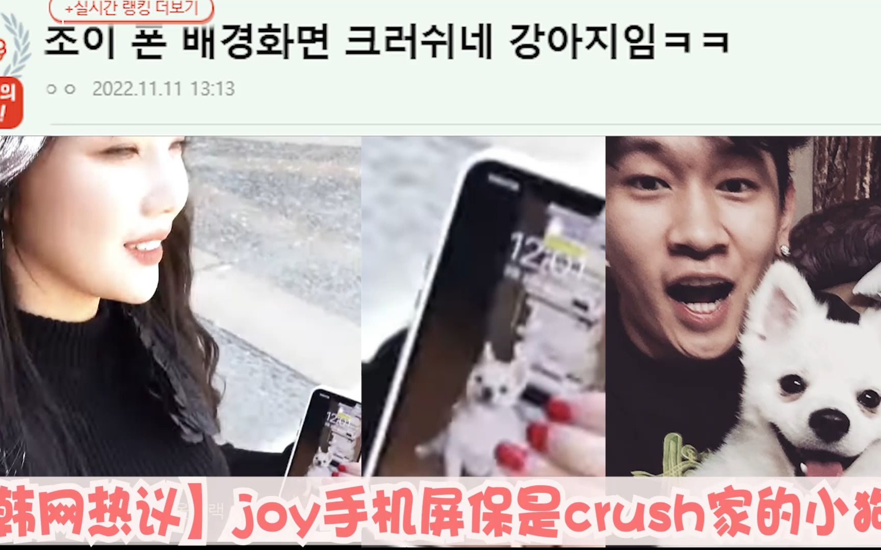 【韩网热议】joy手机屏保是crush家的小狗哔哩哔哩bilibili