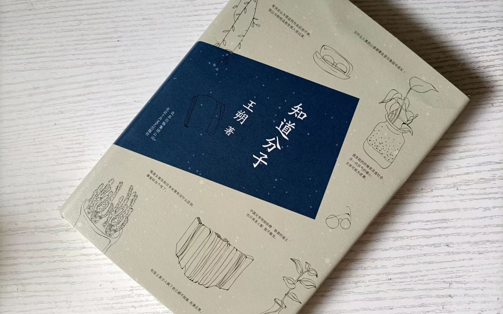 [图]聊聊王朔的《知道分子》，还有白岩松和鲁迅，【隐士推书】第九十三期。