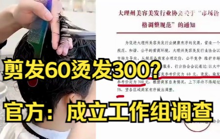 大理美容美发行业协会定价剪发60烫发300?官方:成立工作组调查哔哩哔哩bilibili