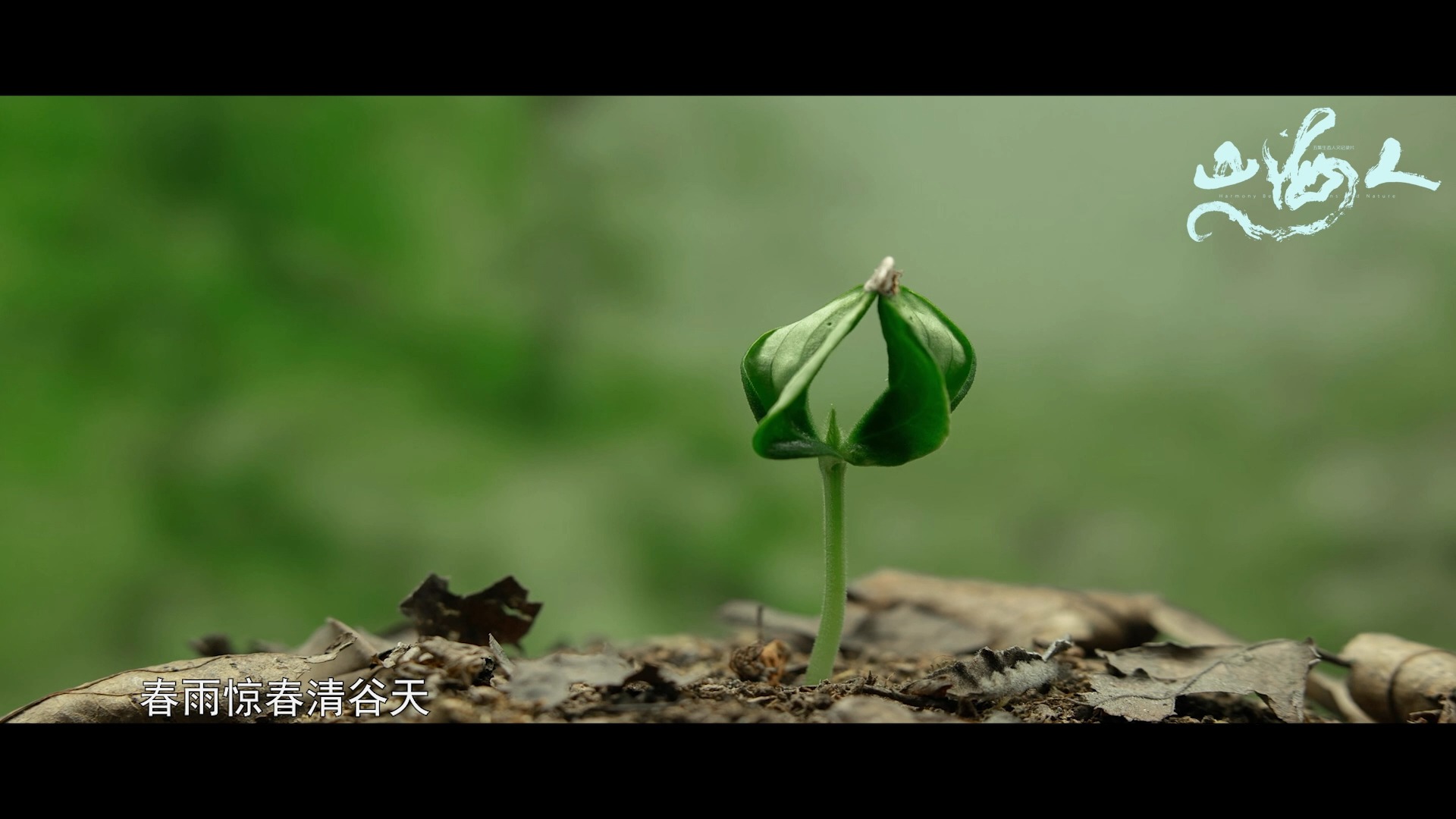 [图]白露到来，《山·海·人》带您看二十四节气