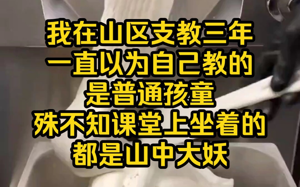 我在山区支教三年一直以为自己教的是普通孩童殊不知课堂上坐着的都是山中大妖哔哩哔哩bilibili