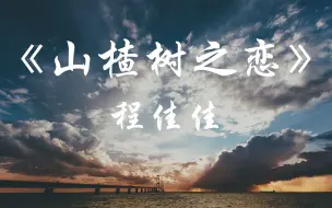 Télécharger la video: 《山楂树之恋》程佳佳【HIRES无损音质】192kHz/24bit