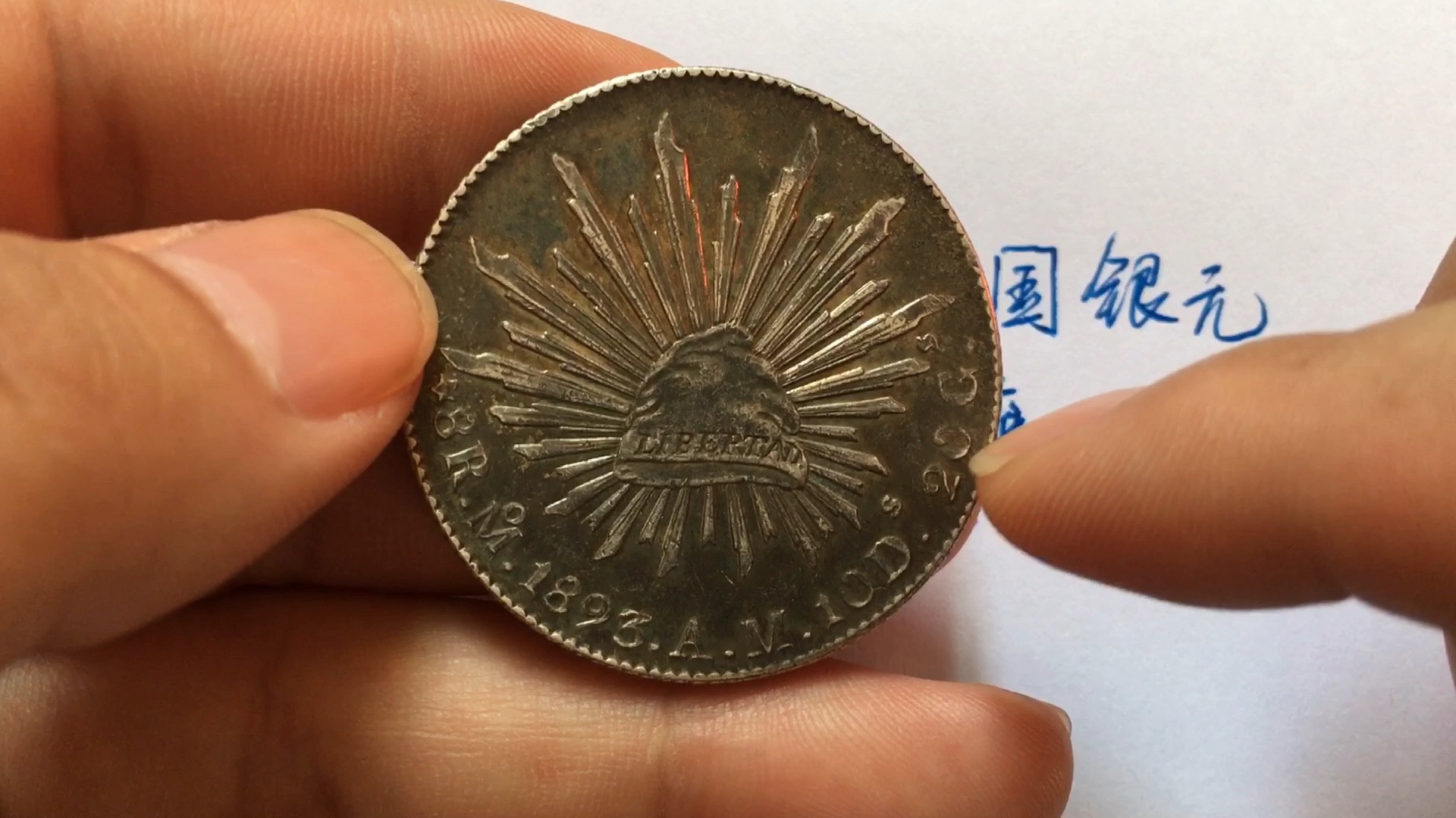 墨西哥鹰洋也叫花边特别的边齿大家一起来学习吧