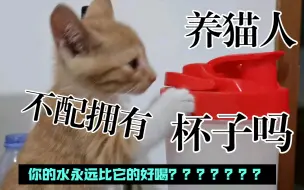 Download Video: 养猫人不配拥有杯子吗？小猫咪是不是永远觉得主人的水最好喝？