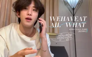 Descargar video: 【金丙周】因为漂亮所以做了中字💐WEHAVEATAIL vlog