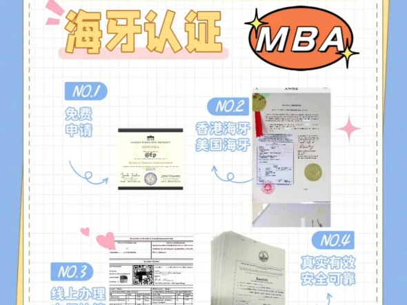 MBA商业管理硕士(欧洲水硕)海牙认证!哔哩哔哩bilibili