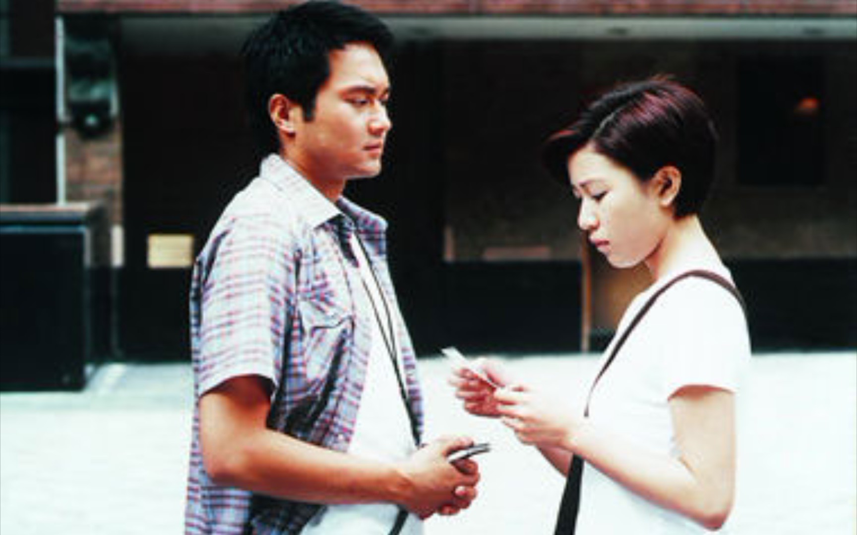 披荆斩棘的哥哥祝君好张智霖最好的文初