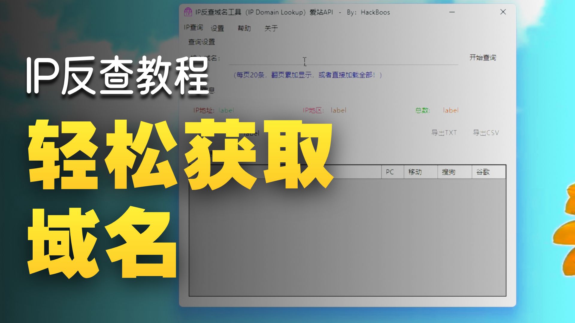 IP反查域名工具