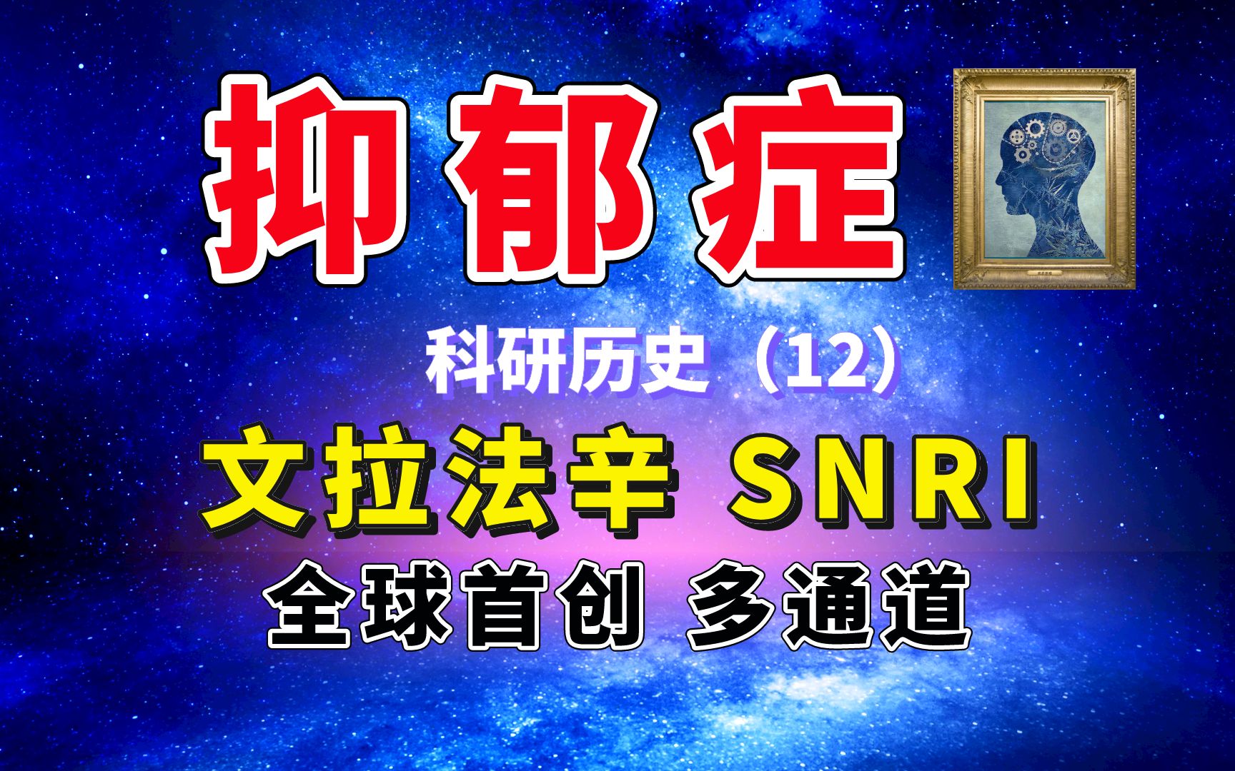 【脑科学】抑郁症:文拉法辛、全球首创SNRI、多通道(科研历史12)哔哩哔哩bilibili