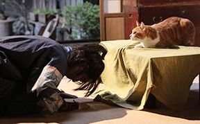 [图]【预告】像萌猫势力低头 『猫忍』 特别映像 【生肉】