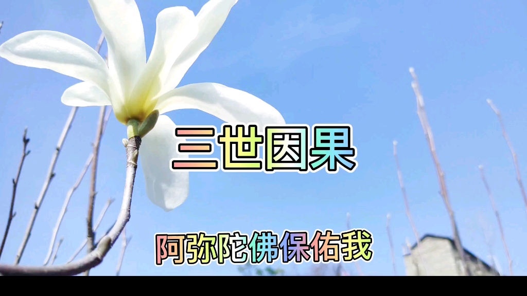 非常好听的佛曲《三世因果》哔哩哔哩bilibili