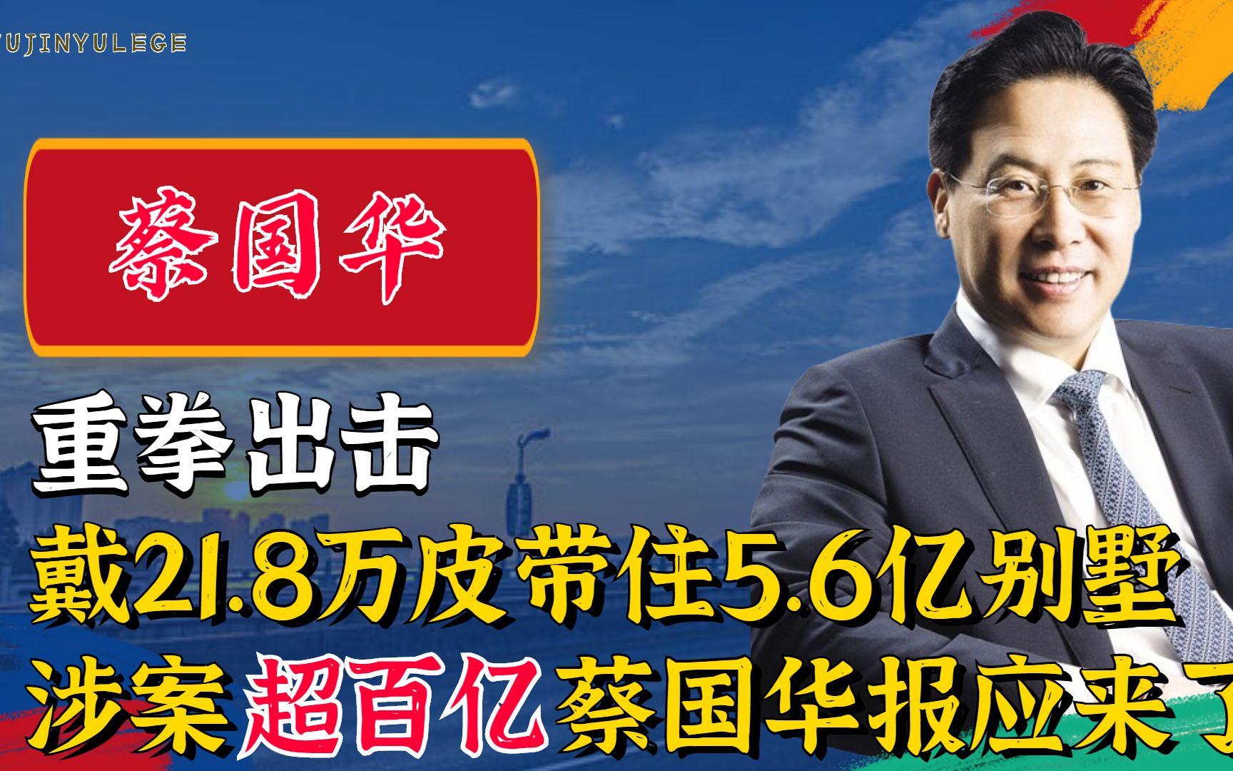 重拳出击,戴21.8万皮带住5.6亿别墅,涉案超百亿蔡国华报应来了哔哩哔哩bilibili