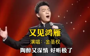 Video herunterladen: 金圣权演唱《又见鸿雁》，陶醉又深情，好听！不亏是大师的儿子