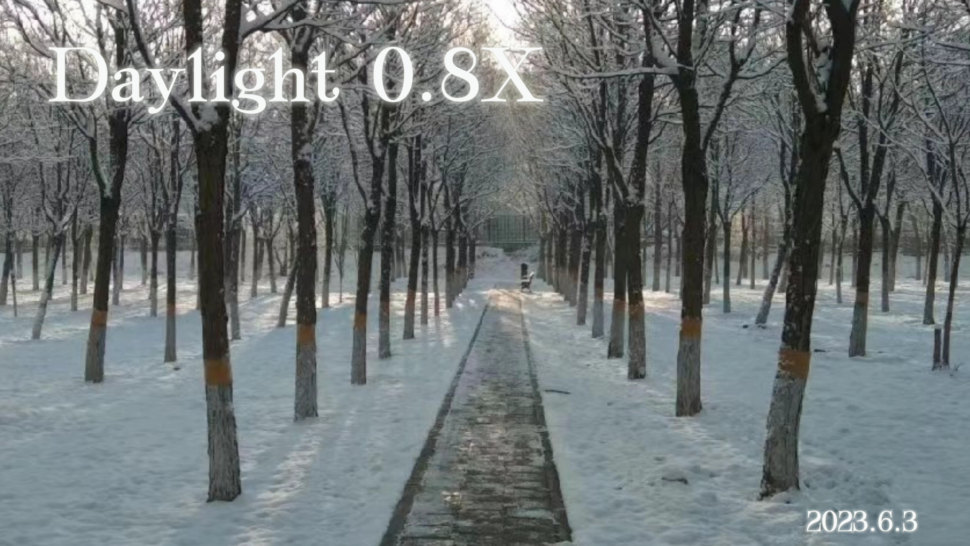 [图]【纯音乐】Daylight 0.8X降调版