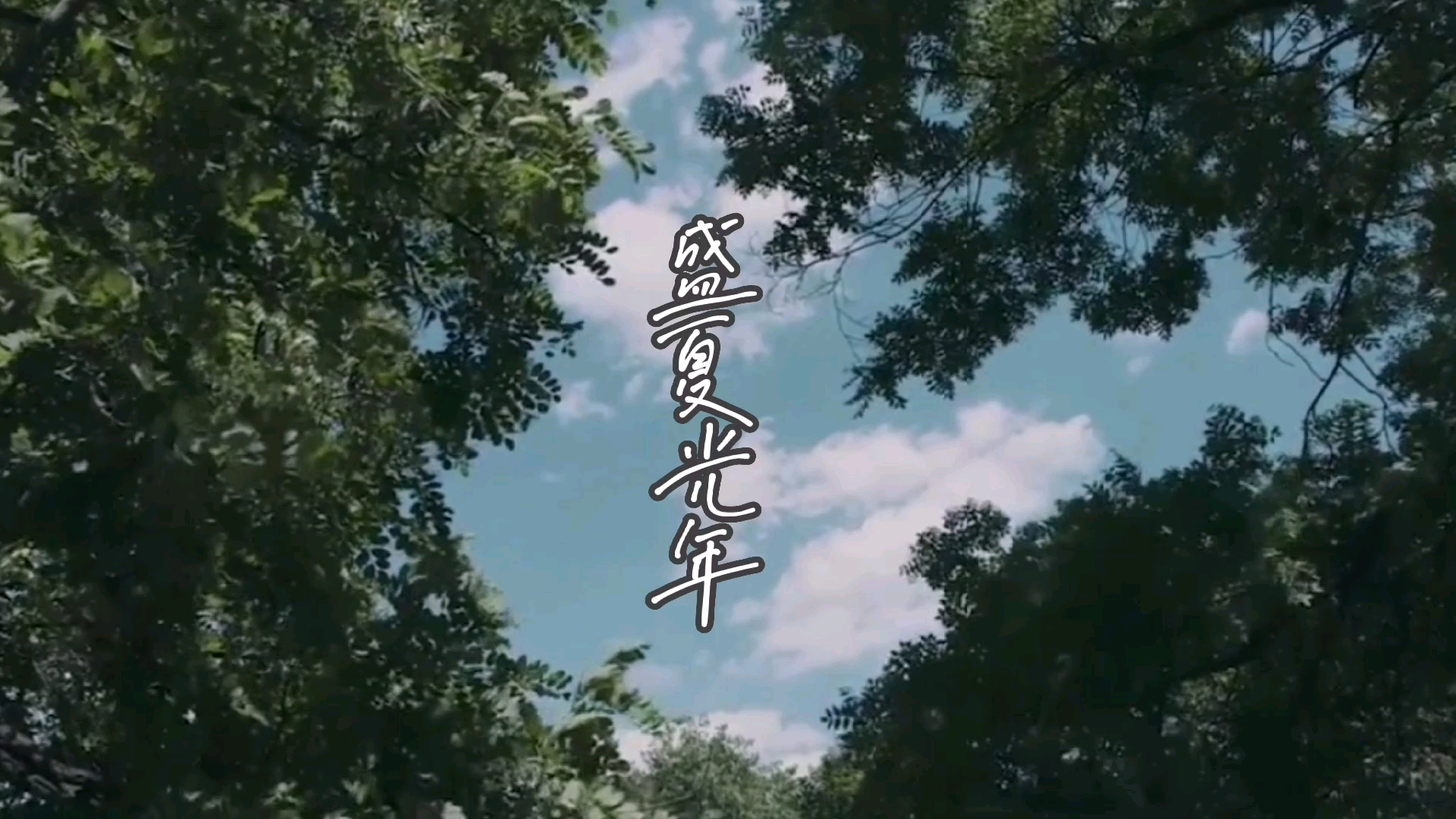 宋亚轩18岁生贺盛夏光年成长向