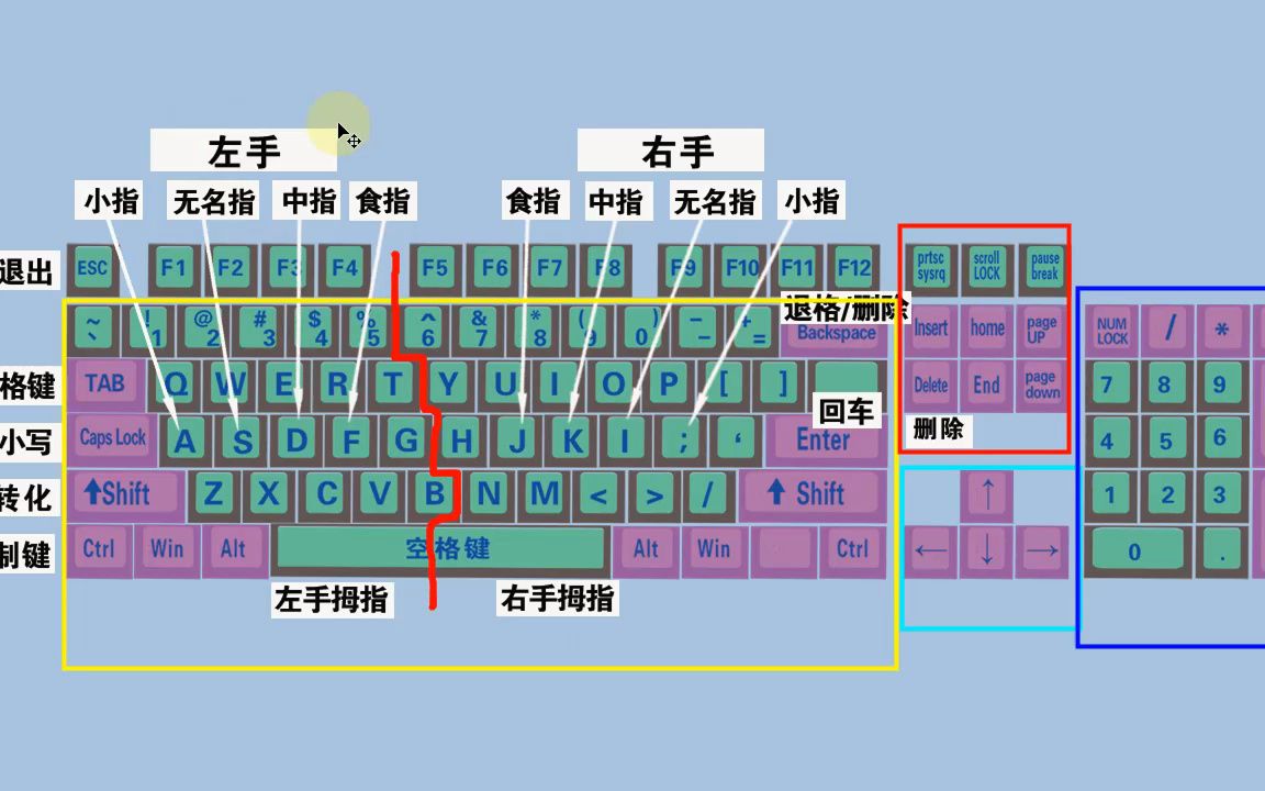 零基础电脑知识,掌握键盘标准指法,打字速度和准确率都可以提高