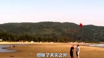 Descargar video: 农业大学生太惨了，天天追猪赶羊只为了能顺利毕业