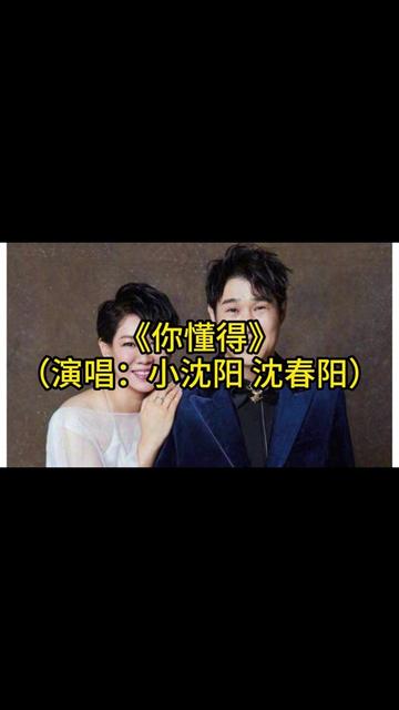 《你懂的》(演唱:小沈阳 沈春阳)哔哩哔哩bilibili