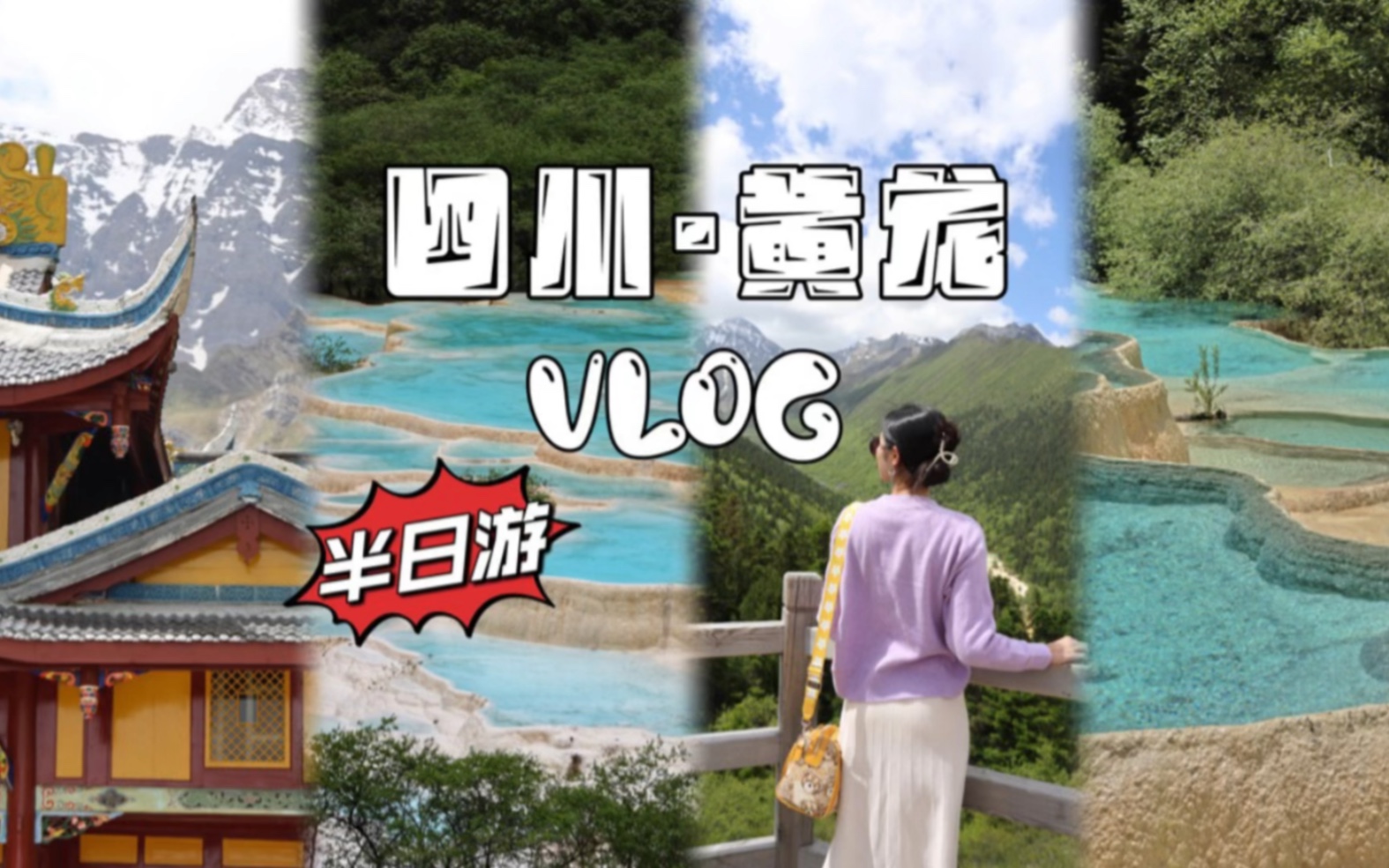 [图]黄龙Vlog｜半天看遍人间瑶池，黄龙的美真的不输九寨！阿坝旅游必打卡，含攻略～