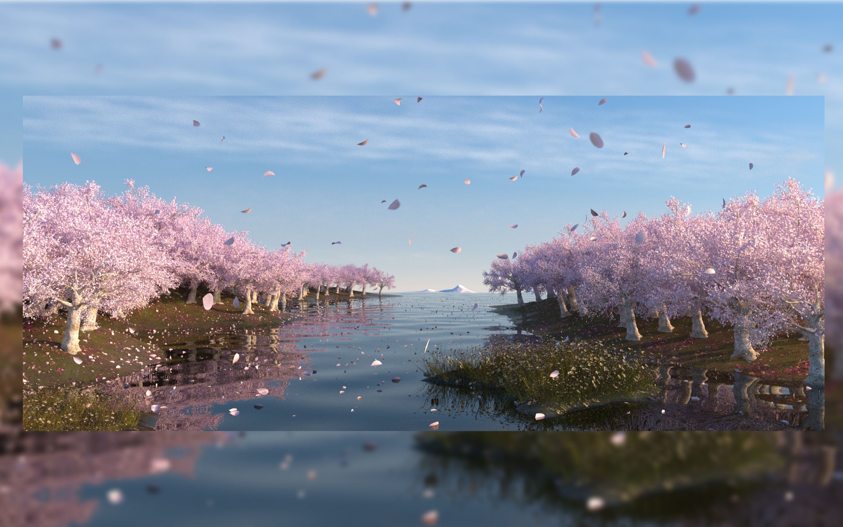 樱花场景搭建全流程展示 // C4D+OC 域与顶点贴图哔哩哔哩bilibili