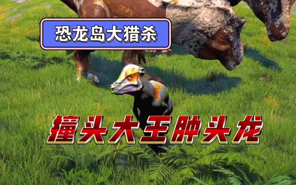 (八喜)恐龙岛大猎杀:撞头大王肿头龙来啦!